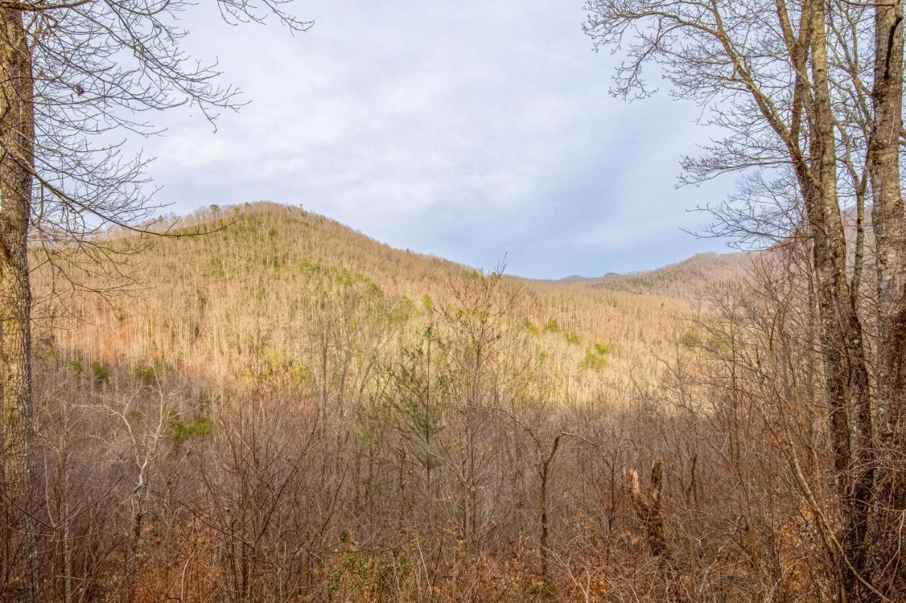 Tree Top Cabin Sylva Exterior photo